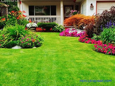 What lawn to choose to give?