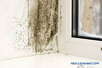 How to get rid of mold in the apartment with their own hands