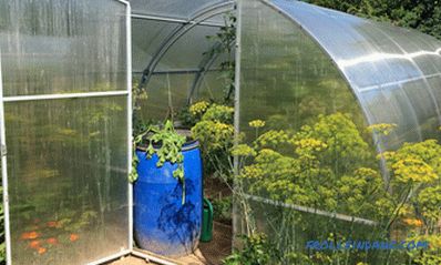 How to choose a greenhouse from polycarbonate