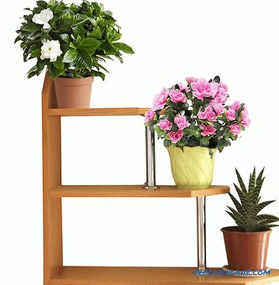 Shelves for flowers do it yourself from wood, chipboard