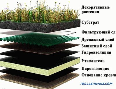 How to make a lawn on the roof