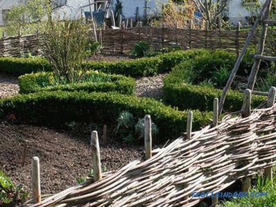 How to make a wicker fence - making wattle (+ photos)