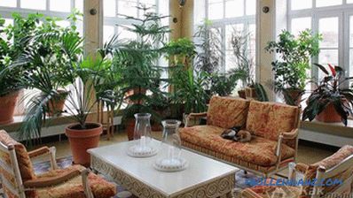Winter garden in a private house with their own hands