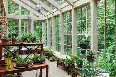 Winter garden in a private house with their own hands