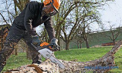 What brand of chainsaw to choose - the best manufacturers