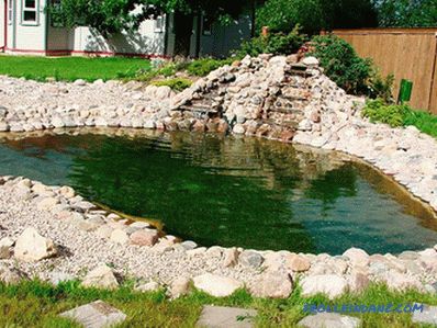 How to clean the pond with your own hands in the country
