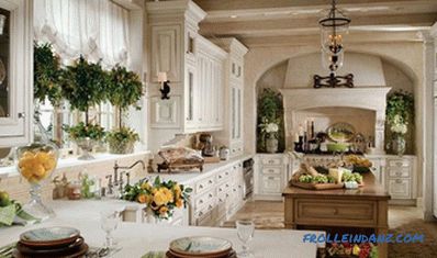 White kitchen in an interior - 41 photos idea of ​​an interior of a kitchen in classical white color