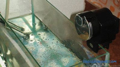 How to make an aquarium with your own hands
