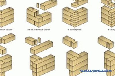 distinctive features of some species (table)