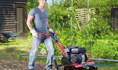 How to choose a motor cultivator - inexpensive and reliable