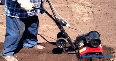 How to choose a motor cultivator - inexpensive and reliable