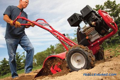 How to choose a motor cultivator - inexpensive and reliable