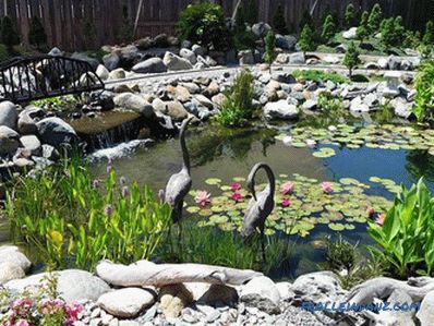 Pond on the summer cottage - the construction of an artificial reservoir (+ photos)