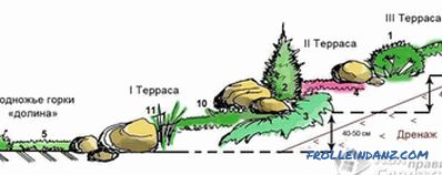 How to make an alpine hill with your own hands + photo
