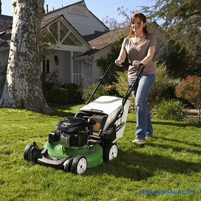 Types and types of lawn mowers - detailed overview