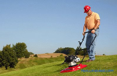 Types and types of lawn mowers - detailed overview