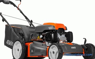 Types and types of lawn mowers - detailed overview