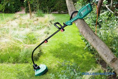 Types and types of lawn mowers - detailed overview