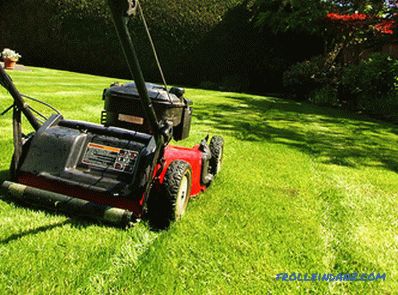 Types and types of lawn mowers - detailed overview