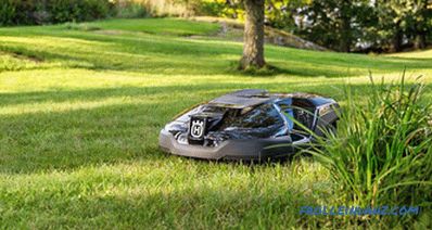 Types and types of lawn mowers - detailed overview