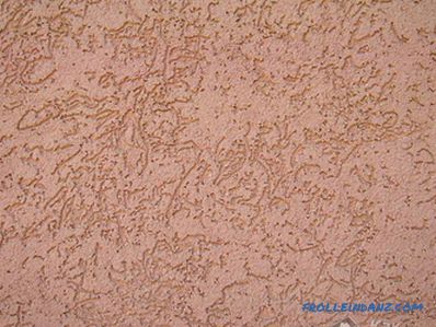 How to apply bark beetle plaster - peculiarities of bark beetle application