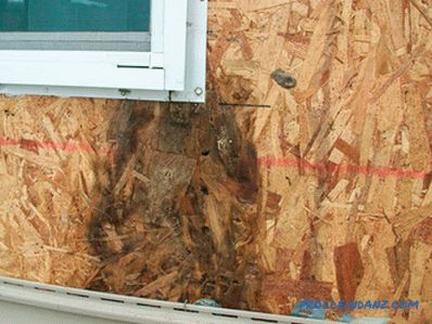 OSB plates (OSB) - technical characteristics and application