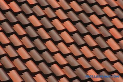 Types of roofing and roofing materials, their advantages and disadvantages + Photo