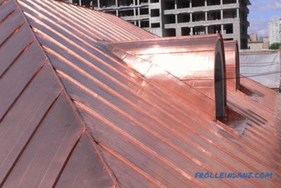 Types of roofing and roofing materials, their advantages and disadvantages + Photo