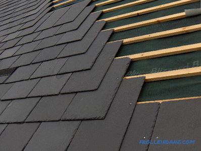 Types of roofing and roofing materials, their advantages and disadvantages + Photo