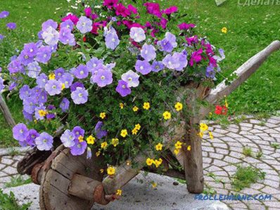 Flower beds and flower beds with their own hands + photo