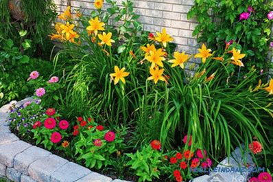 Flower beds and flower beds with their own hands + photo