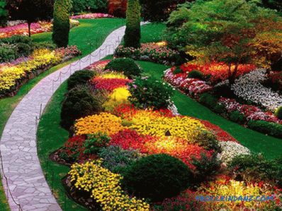 Flower beds and flower beds with their own hands + photo