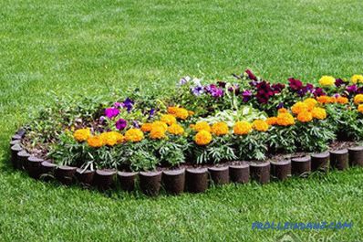 Flower beds and flower beds with their own hands + photo