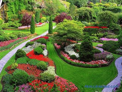 Flower beds and flower beds with their own hands + photo