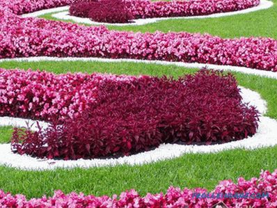 Flower beds and flower beds with their own hands + photo