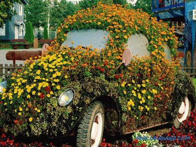 Flower beds and flower beds with their own hands + photo