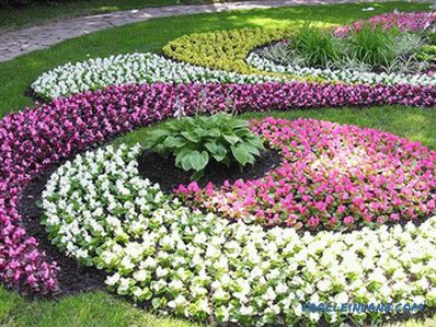 Flower beds and flower beds with their own hands + photo