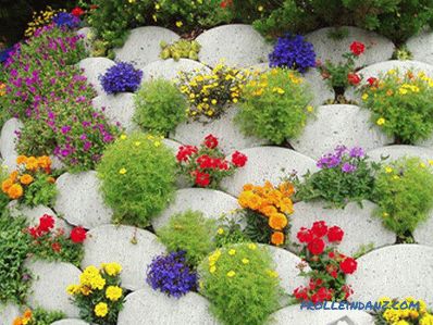 Flower beds and flower beds with their own hands + photo