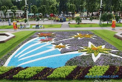 Flower beds and flower beds with their own hands + photo