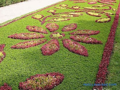 Flower beds and flower beds with their own hands + photo