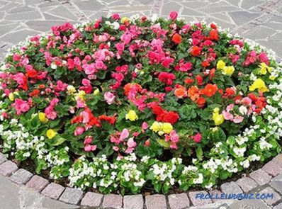 Flower beds and flower beds with their own hands + photo