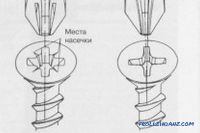 Screwdriver Bits: How to Choose Yourself