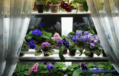 Shelves for flowers do it yourself from wood, chipboard