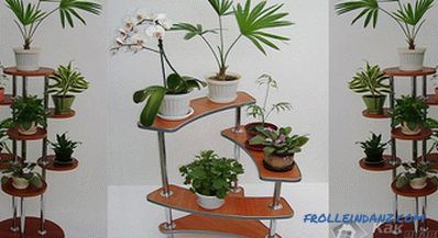 Shelves for flowers do it yourself from wood, chipboard