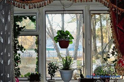 Shelves for flowers do it yourself from wood, chipboard