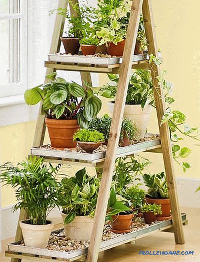 Shelves for flowers do it yourself from wood, chipboard