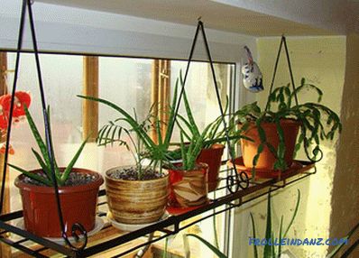 Shelves for flowers do it yourself from wood, chipboard