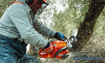 Chainsaw rating for quality and reliability