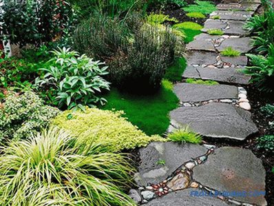 Arrangement of garden paths - varieties, features and installation