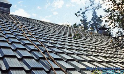 Types of metal roofing, depending on the base, profile and polymer coating + Photo